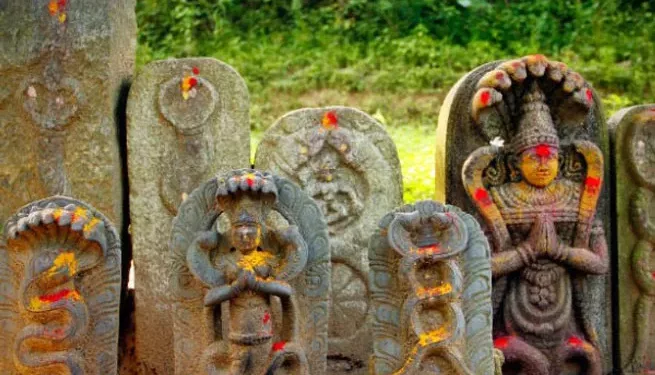 ಪಂಚವರ್ಣದ ನಾಗನಡೆತ ಮಣ್ಣ್ ತುಲನಾಡೊರ್ಮೆ ನಾಗರಪಂಚಮಿದ ಗೌಜಿ