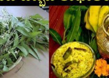 ಕ್ರಷಿಕ್ ಸಂಬಂಧಪಟ್ಟಿನ ಸಂದೇಶ ಕೊರ್ಪಿನ ಯುಗಾದಿ.