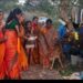 ಪುಣ್ಯಕೋಟಿ ಬಳಗಡ್ದ್ 84ನೇ ಗೋಪೂಜೆ