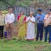 ಪರಿಸರ ದಿನಾಚರಣೆ