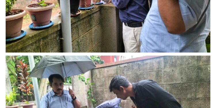 ಡೆಂಗ್ಯು ಜಾಗ್ರತಿ