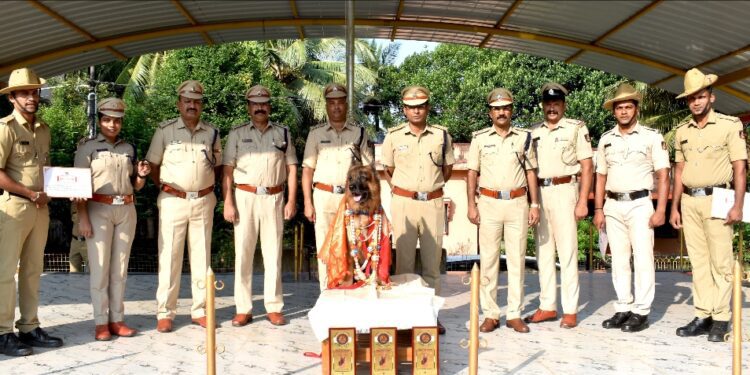 ಕ್ಯಾಪ್ಟನ್ ಶ್ವಾನ ನಿವೃತ್ತಿ.