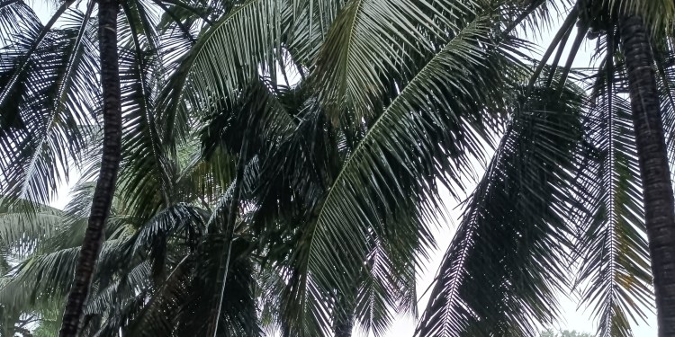 ಬಾರೀ ಬರ್ಸದ ಮುನ್ನೆಚ್ಚರಿಕೆ