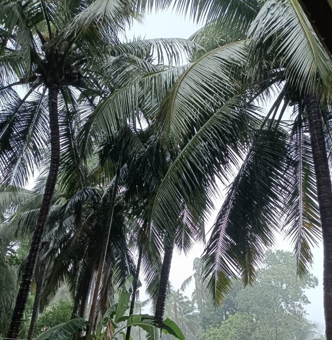 ಬಾರೀ ಬರ್ಸದ ಮುನ್ನೆಚ್ಚರಿಕೆ