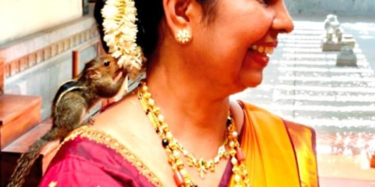 ಚನಿಲ್ ದ ವಿಶೇಷತೆ.