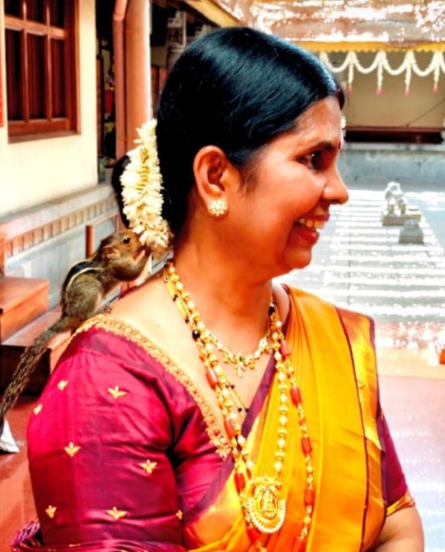 ಚನಿಲ್ ದ ವಿಶೇಷತೆ.
