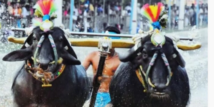 ಕಿದೆಟ್ ಶಾರ್ಟ್ ಸರ್ಕೂಟ್