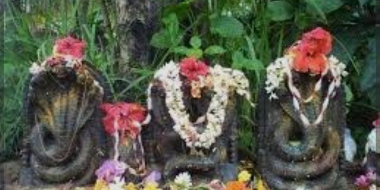 ನಾಗದೇವೆರೆಗ್ ತನು ತಂಬಿಲ
