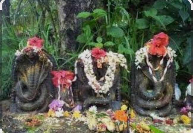ನಾಗದೇವೆರೆಗ್ ತನು ತಂಬಿಲ