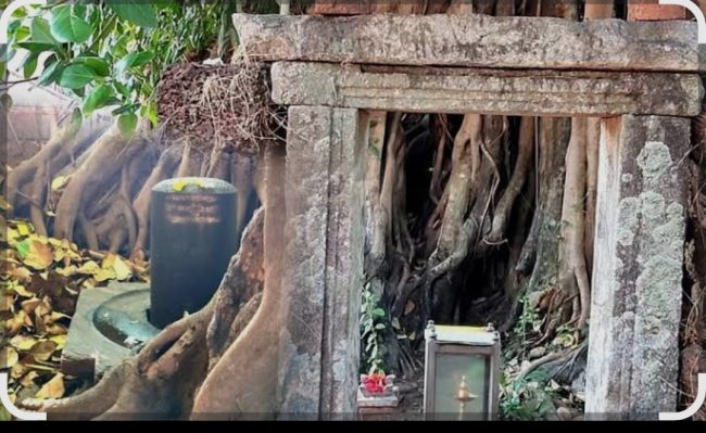 ತುಳುವೇಶ್ವರ ಅಷ್ಟಮಂಗಳ ಪ್ರಶ್ನೆ.